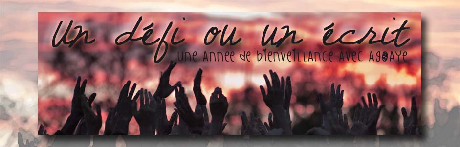Bannière-copie
