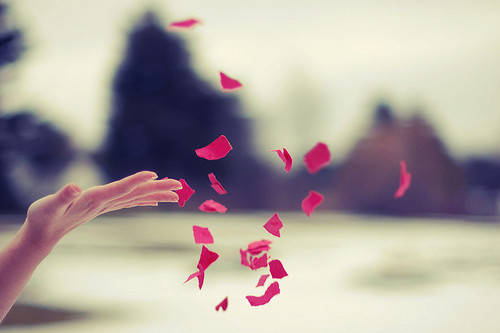 we heart it (1)