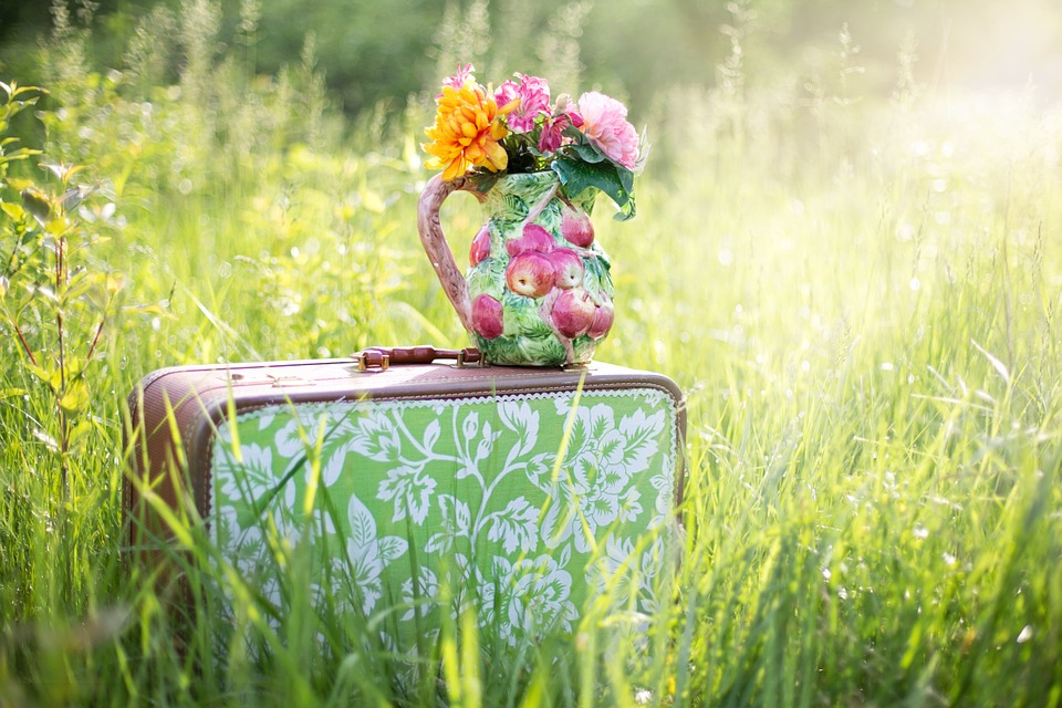 summer-still-life-785231_960_720