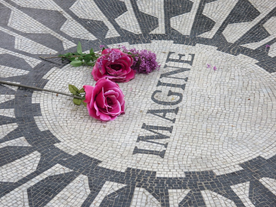 strawberry-fields-935028_960_720