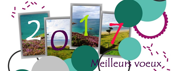 2017-1